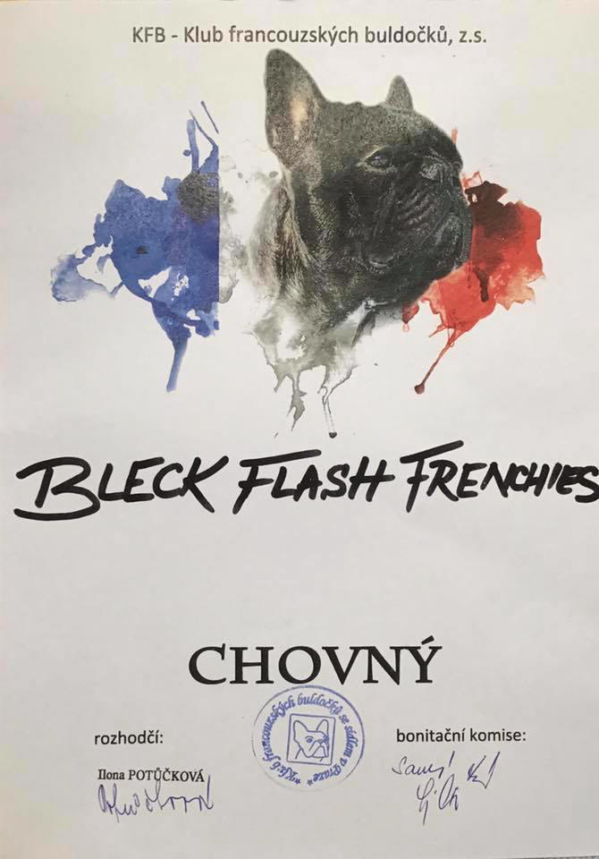 Bleck Flash Frenchies